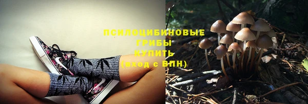 герыч Вяземский
