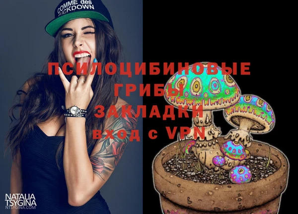 прущая мука Вязники