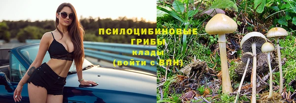 герыч Вяземский